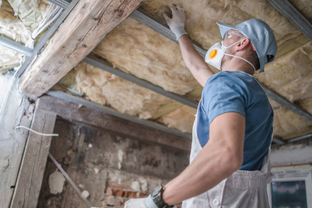 Professional Insulation Contractor in Stevenson Ranch, CA