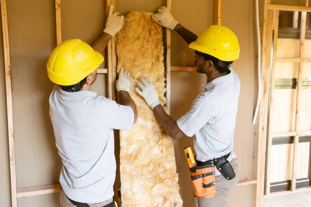Best Spray Foam Insulation  in Stevenson Ranch, CA